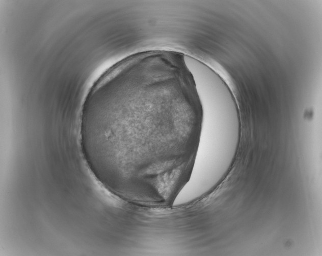 X0000093151144200710241357