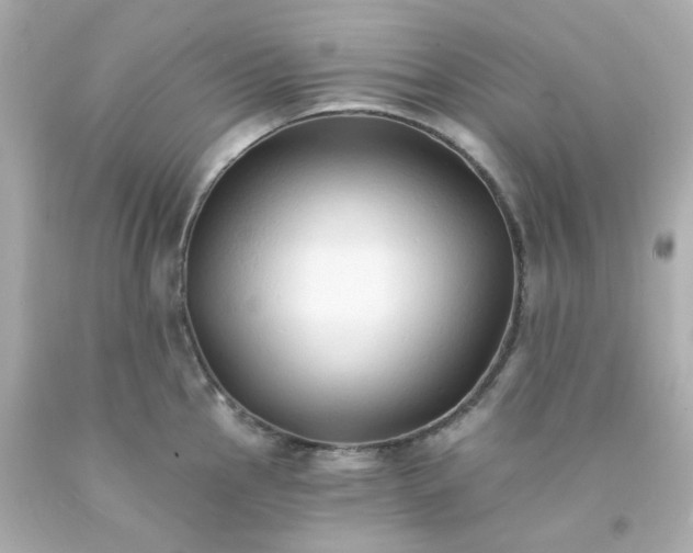 X0000093151145200710241357