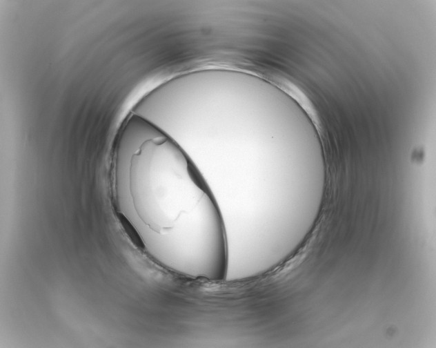 X0000093151146200710241357