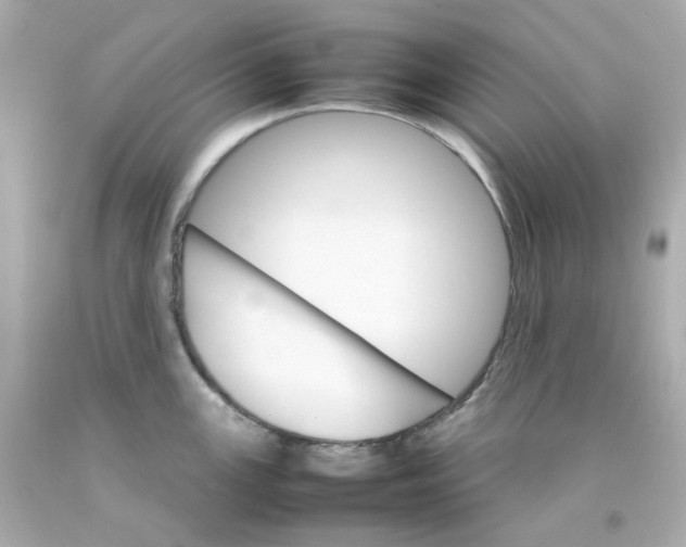 X0000093151147200710241357