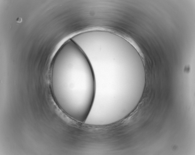 X0000093151148200710241357