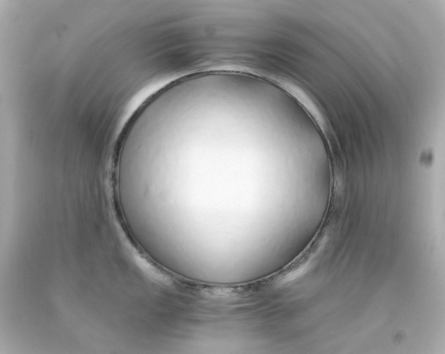 X0000093151149200710241357