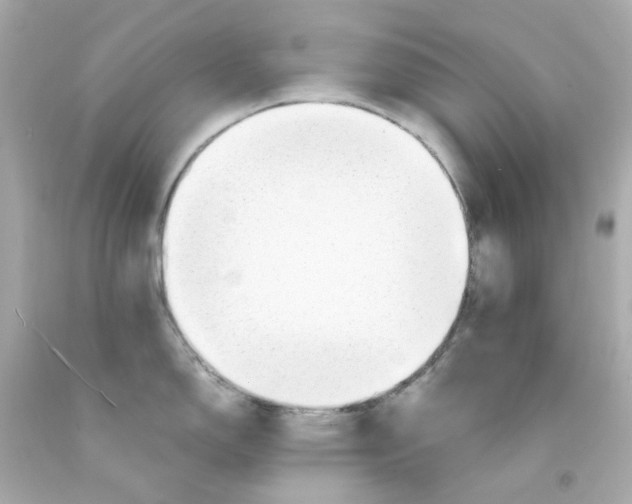 X0000093151150200710241357