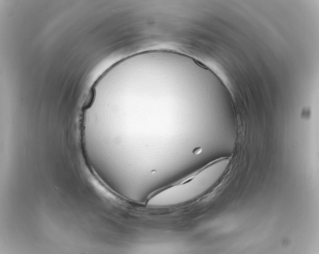 X0000093151151200710241357