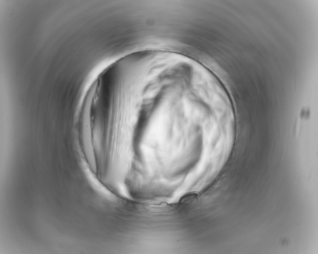 X0000093151152200710241357