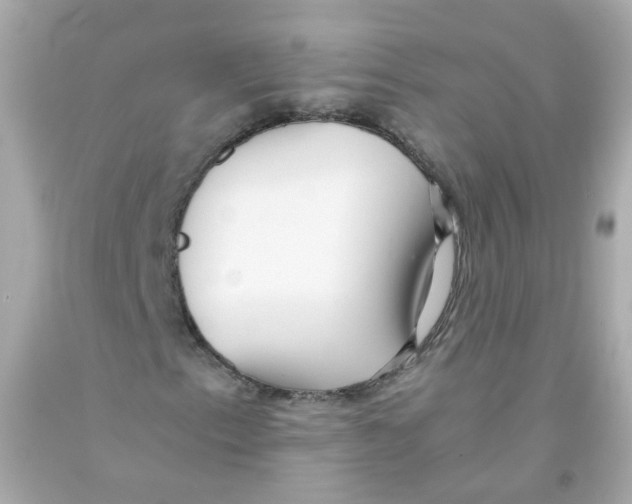 X0000093151153200710241357