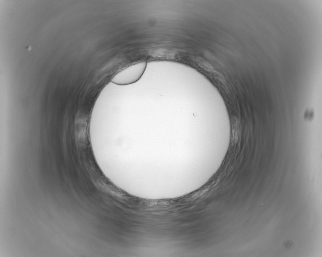 X0000093151154200710241357