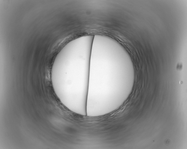 X0000093151155200710241357