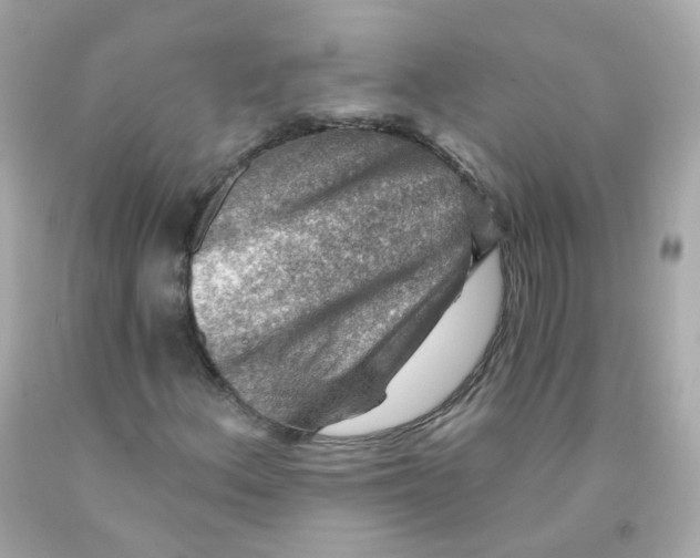 X0000093151156200710241357