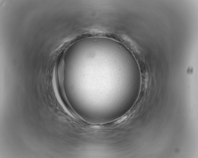 X0000093151157200710241357