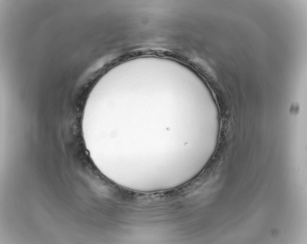 X0000093151159200710241357