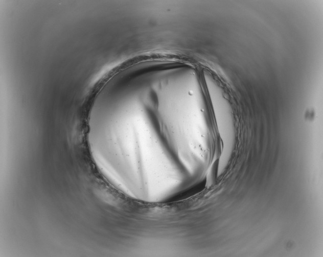 X0000093151160200710241357