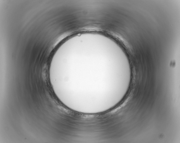 X0000093151162200710241357