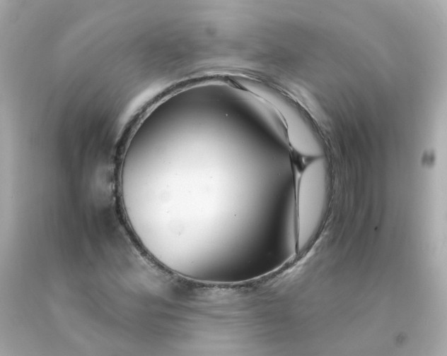 X0000093151164200710241357