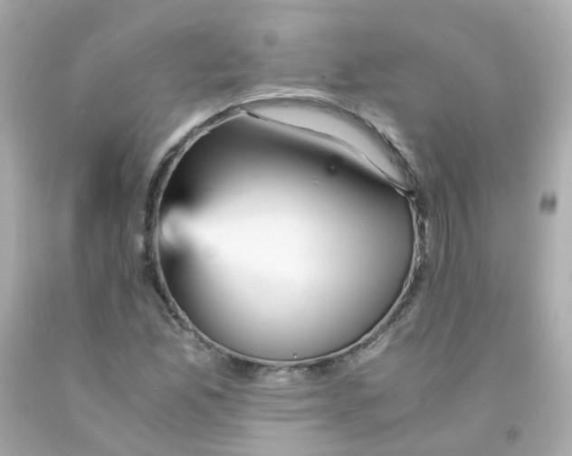 X0000093151165200710241357