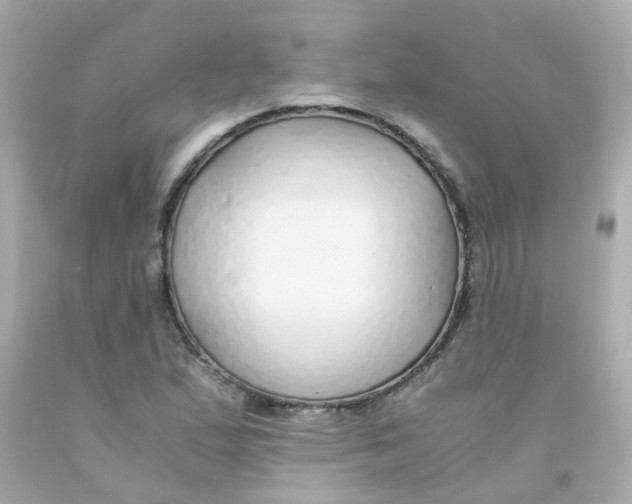 X0000093151167200710241357