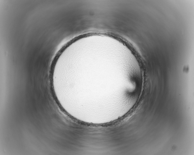 X0000093151168200710241357