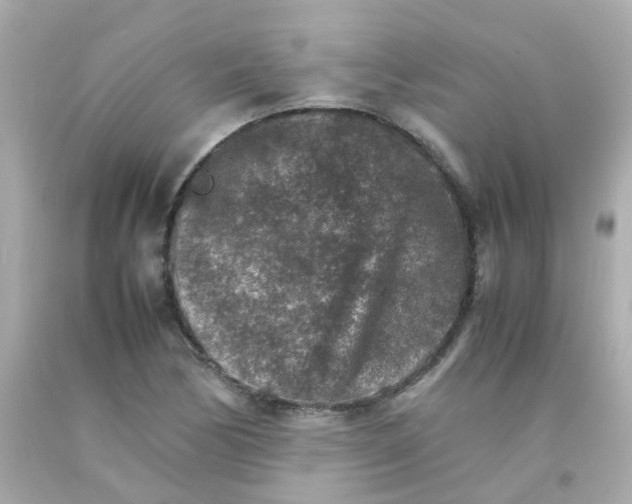 X0000093151170200710241357