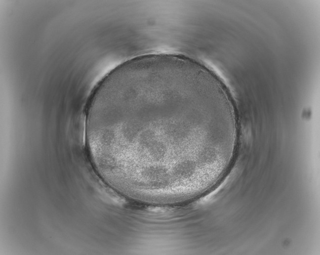 X0000093151171200710241357