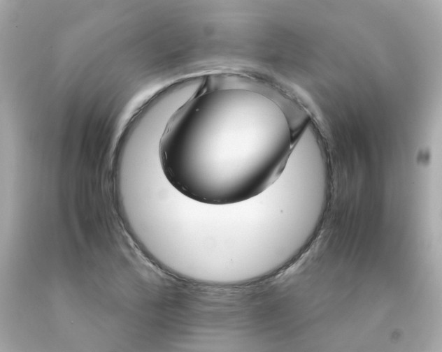 X0000093151172200710241356