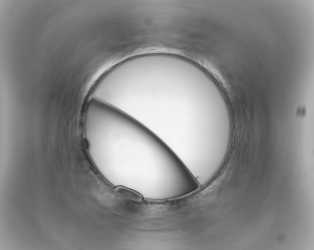 X0000093151173200710241356