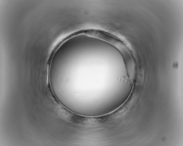 X0000093151175200710241356