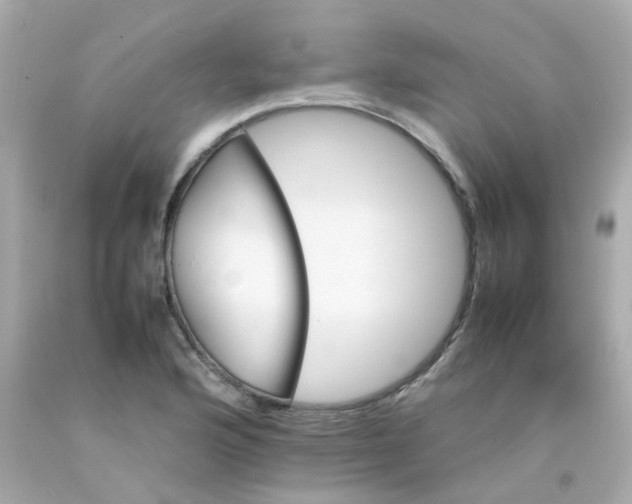 X0000093151176200710241356