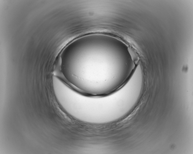 X0000093151177200710241356