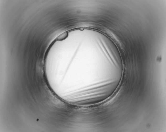 X0000093151178200710241356