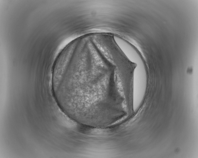 X0000093151179200710241356