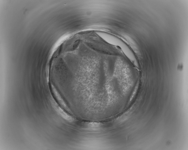 X0000093151180200710241356