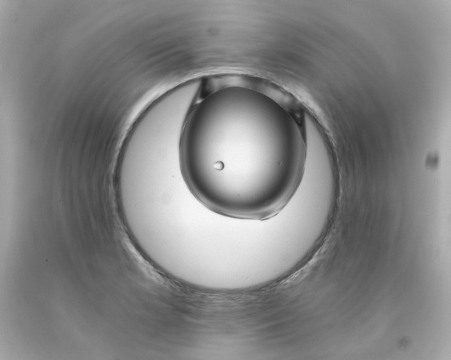 X0000093151181200710241356