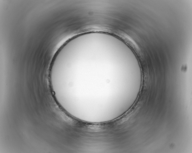 X0000093151182200710241356