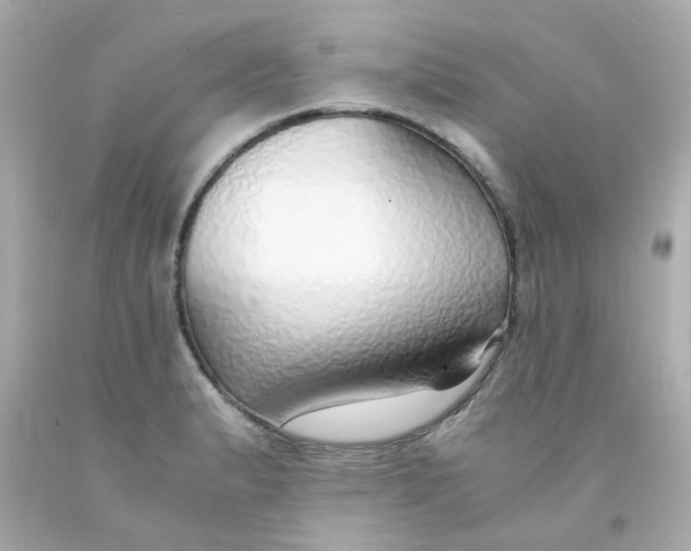 X0000093151183200710241356