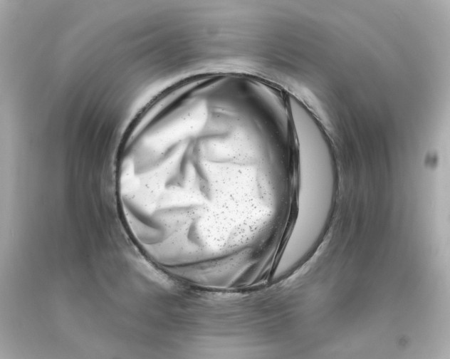 X0000093151184200710241356