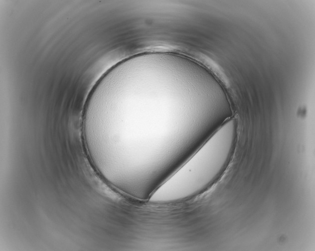 X0000093151186200710241356