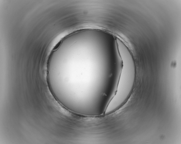 X0000093151188200710241356