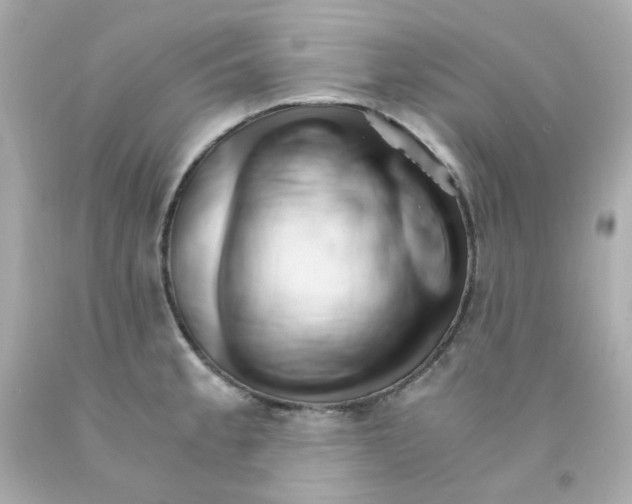 X0000093151189200710241356