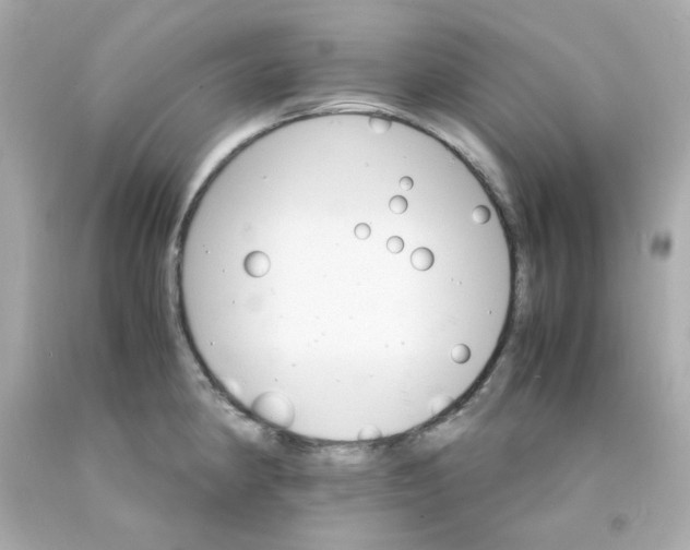 X0000093151190200710241356