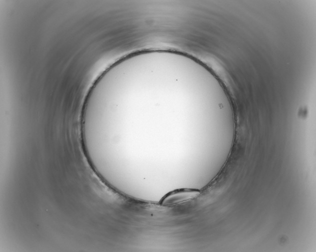 X0000093151191200710241356