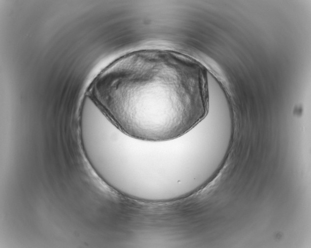 X0000093151192200710241356