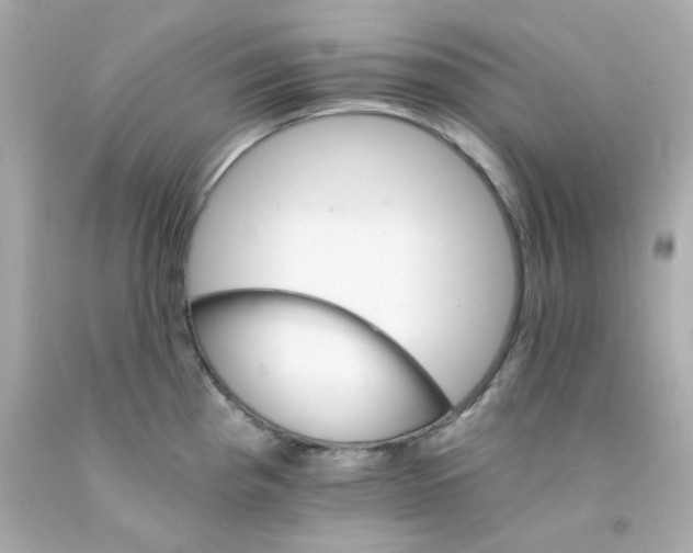 X0000093151193200710241356