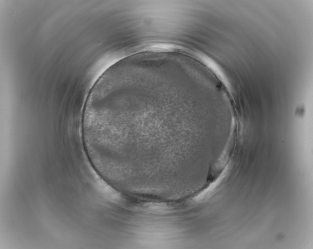 X0000093151194200710241356