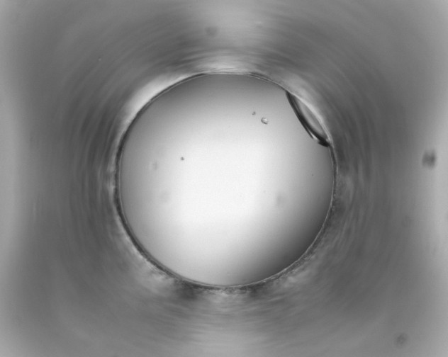 X0000093151195200710241356