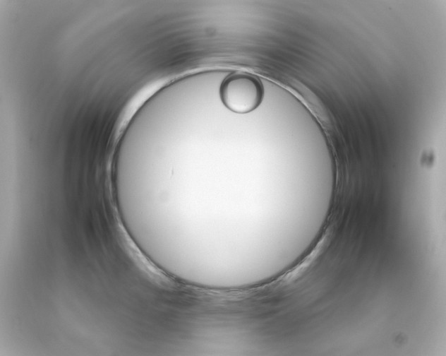 X0000093151196200710241356