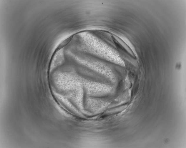 X0000093151197200710241356