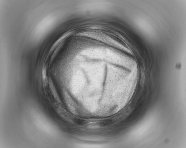 X0000093151198200710241356