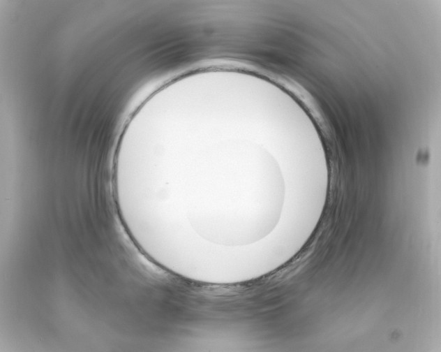 X0000093151199200710241356