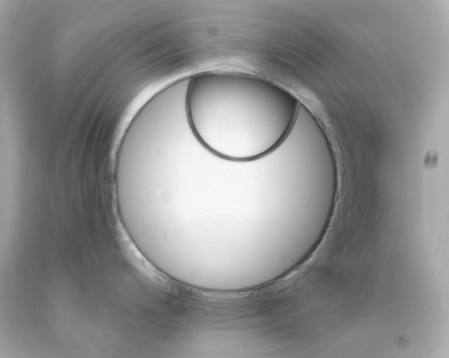 X0000093151200200710241356