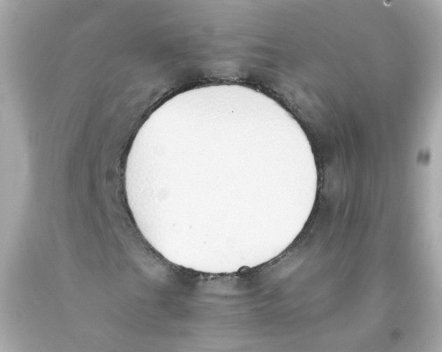 X0000093151201200710241355